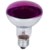 lamp-s496hq_big.JPG