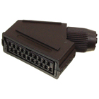 scart-15_thb.JPG